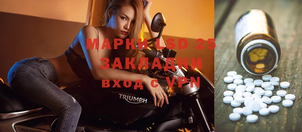 гидра Аркадак