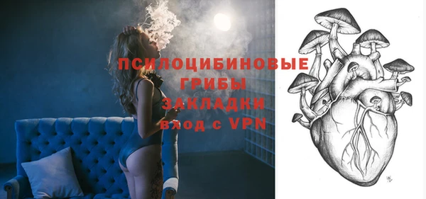 гидра Аркадак