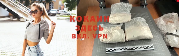гидра Аркадак