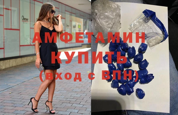 гидра Аркадак