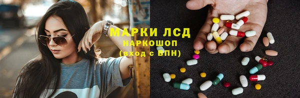 гидра Аркадак