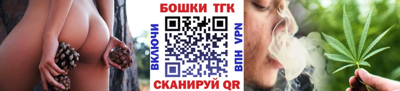 Конопля сатива  Саки 